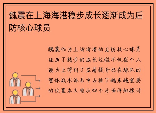 魏震在上海海港稳步成长逐渐成为后防核心球员